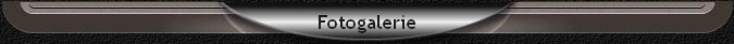 Fotogalerie